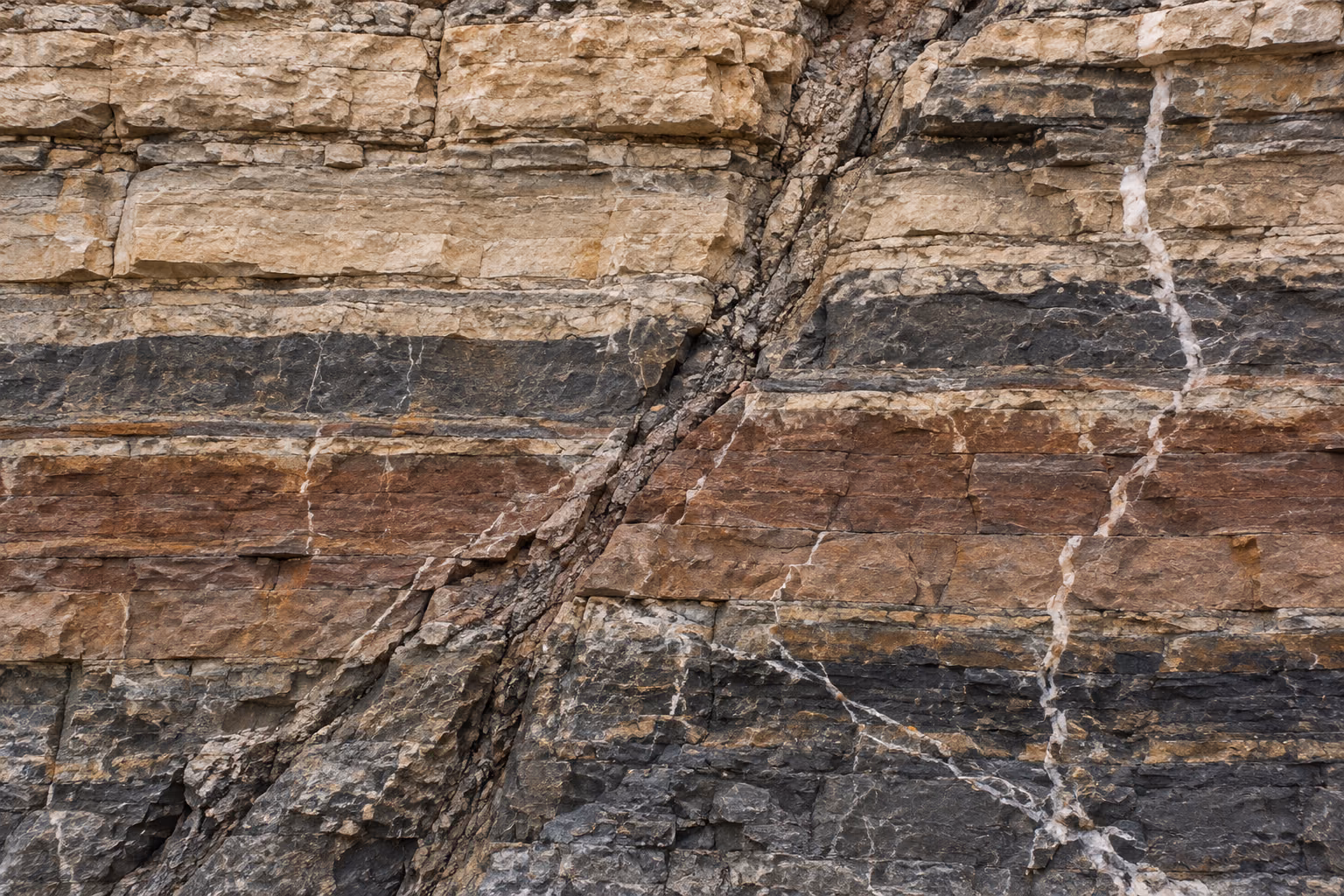Exposed sedimentary strata showing colour variation through the section