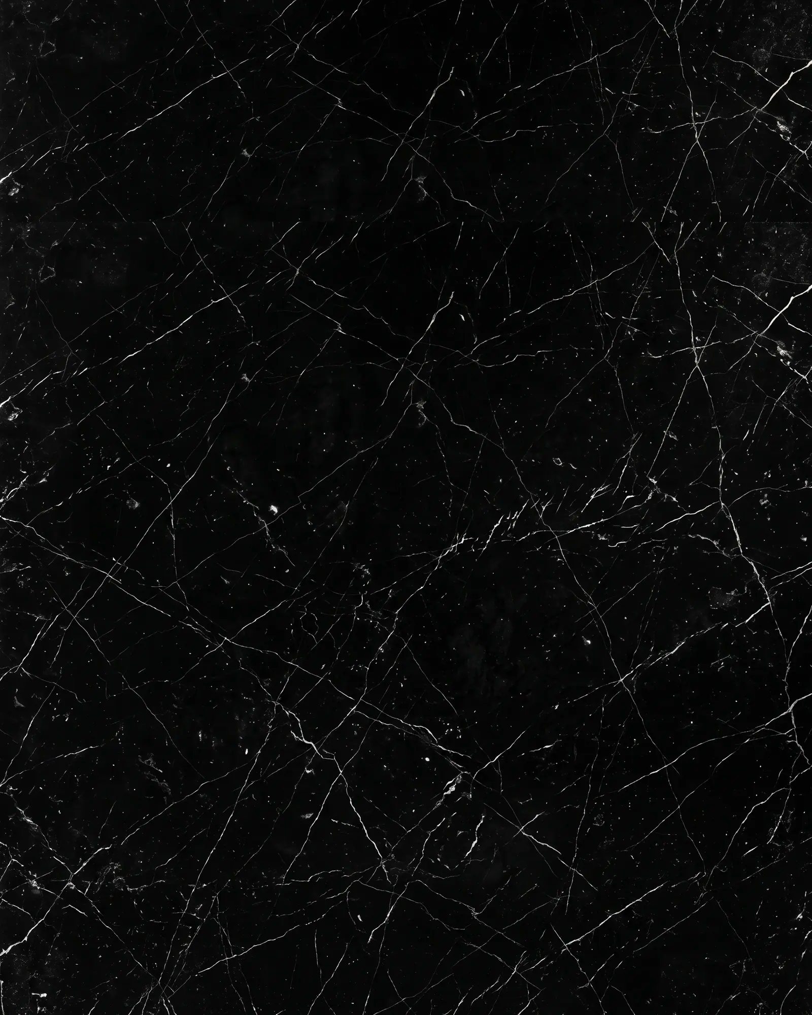 Surface — BLACK ALGERIA